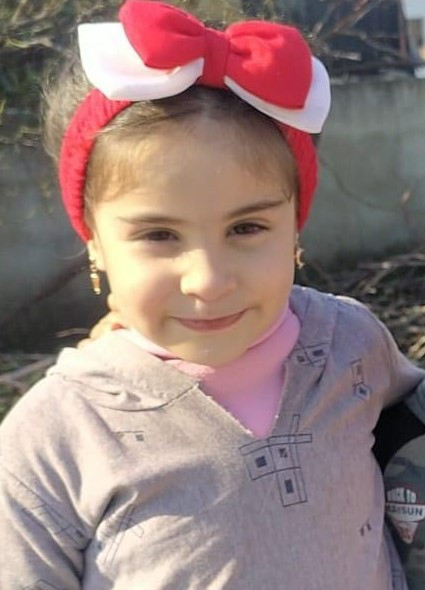 صورة الأسرة